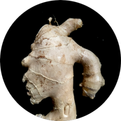 Kunst – Prozesse